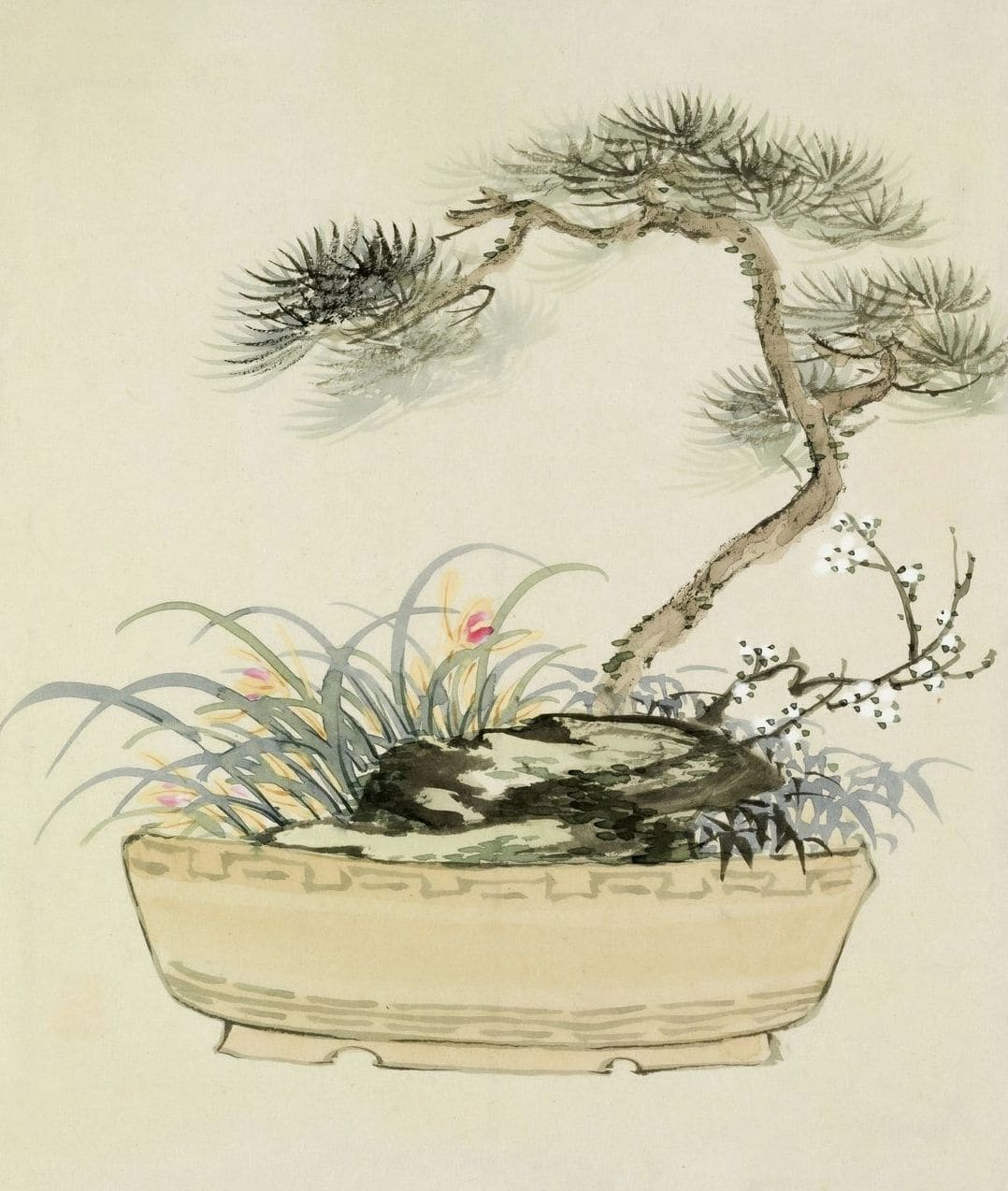 翠松園 bonsai studio